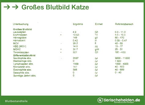 Bildergebnis für harnstickstoff
