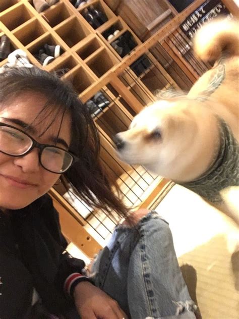 Shiba Inu Cafe: A Paw-sitively Delightful Experience