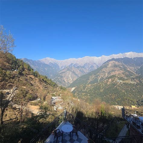 UDECHEE HUTS (McLeod Ganj, India - Himachal Pradesh) - Hotel Reviews ...