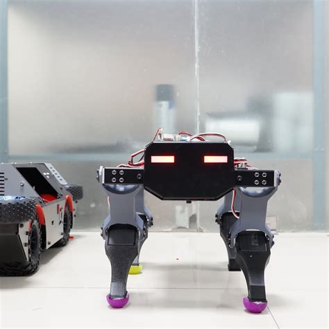 Customized AI Voice-Assisted, Voice and Mobile-Controlled Quadruped Ro ...