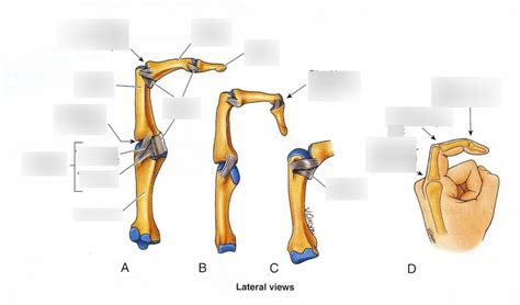 Image result for Finger Joint Tutorial