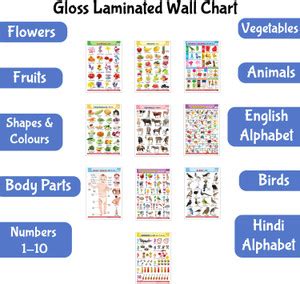 Educational English-Hindi Posters for Kids : Pack of 10 Gloss Laminated ...