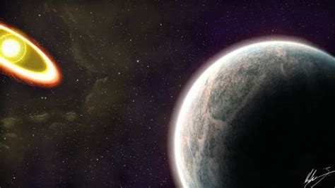 Exploding Toads Video 的图像结果