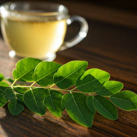 14 Surprising Benefits Of Barley Tea For Better Health