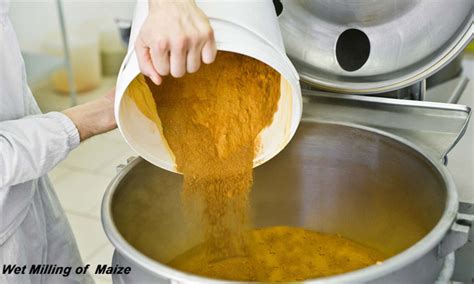 Image result for Maize Processing