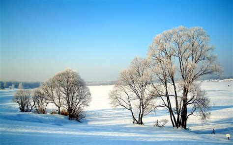 壁纸1280×1024美丽雪景 雪景图片 美丽冬天雪景壁纸壁纸,浪漫雪景壁纸壁纸图片-风景壁纸-风景图片素材-桌面壁纸