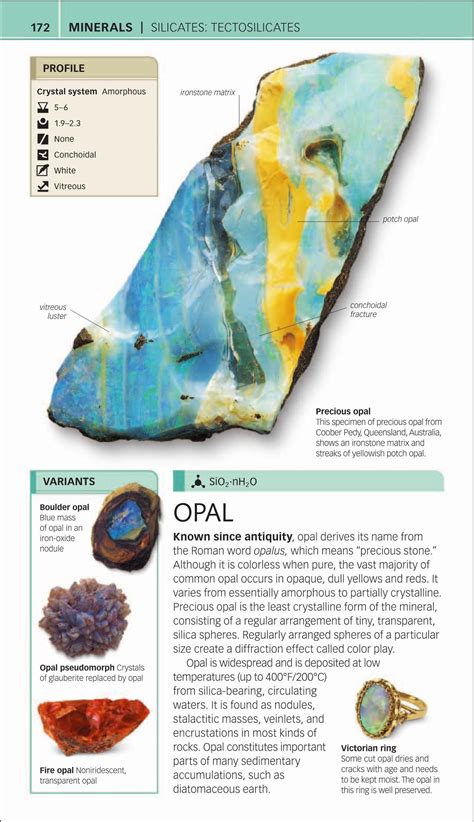 Rocks and Minerals (DK Nature Guide) | Minerals, Rocks and minerals ...