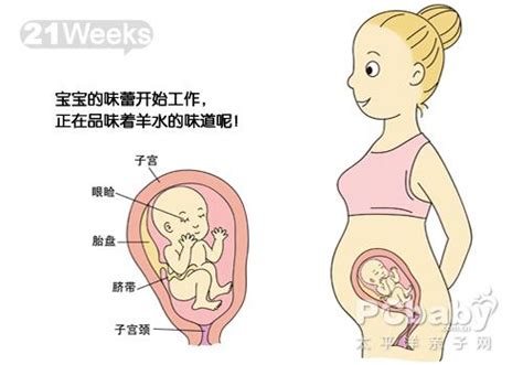 孕30周：胎儿和孕妈妈的最新变化，你知道吗？ - 知乎