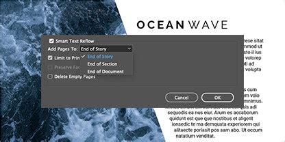 Software de diseño de carteles | Adobe InDesign