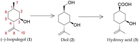 Molecular-Genetic Research of Rhodococcus rhodochrous IEGM 1362, an ...