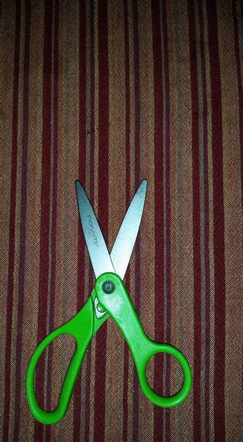 How to Clean Rust Off Scissors 的图像结果