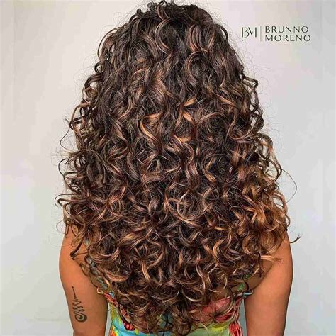 Curly Brown Hair With Highlights