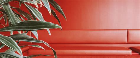 Download wallpaper 2560x1080 seats, leaves, red dual wide 1080p hd ...