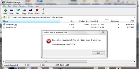 7Z.exe Application Error 的图像结果