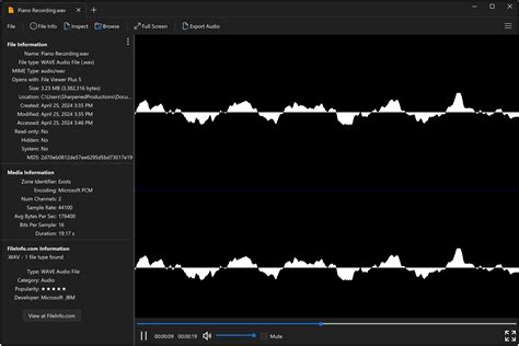 Image result for WAV File Reader