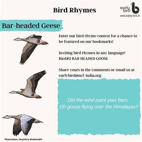 Bird Rhyme Contest 2021 – Early Bird