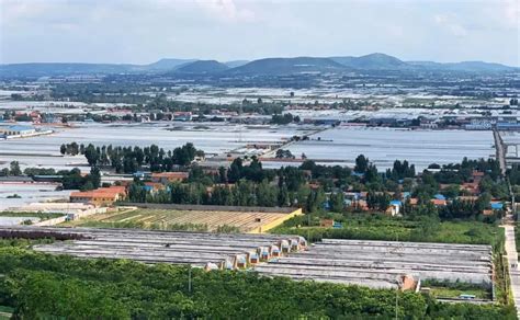 青州市谭坊镇：探索管理模式 解决瓜菜秸秆处理难题_澎湃号·媒体_澎湃新闻-The Paper