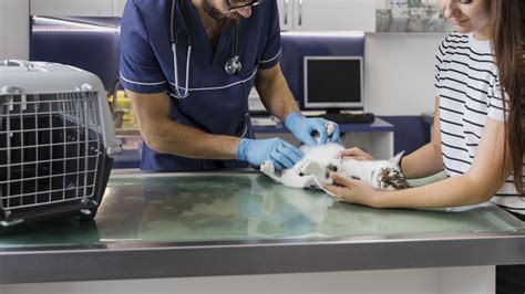 Pet Diagnostic Services In Washington Crossing, PA 18977 | Washington Crossing Animal Hospital