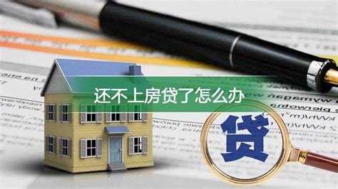 11月住户中长期新增贷款占比小幅回落_财新PMI频道_财新网