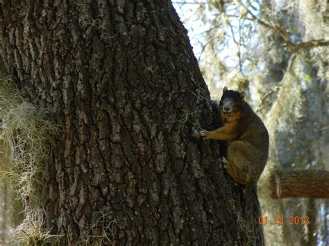 Gallery | Hardee County Property Appraiser