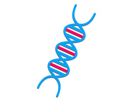 Dna双螺旋 的图像结果