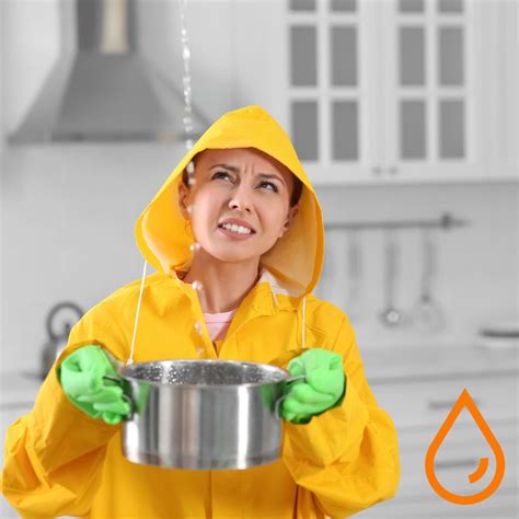 Burst Pipe Repair Archives - The Plumbing Pros