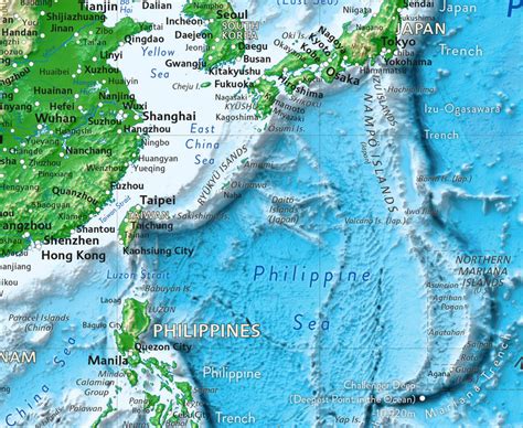 Detailed World Wall Map 的图像结果
