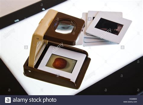 Slide Viewer for Computer 的图像结果