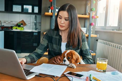 What is a Commonwealth supported place v fee-paying place?