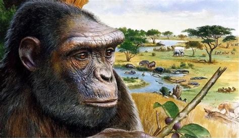 我国科学家证实人类是由鱼进化而来 从猿到人破灭了？|进化|鱼类_新浪科技_新浪网