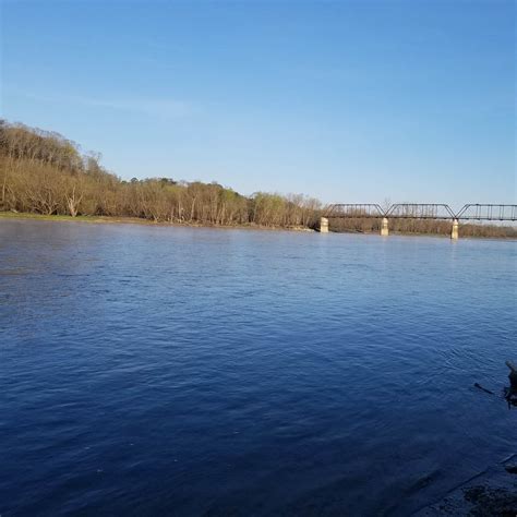 Douglas Dam Headwater Campground Camping | The Dyrt