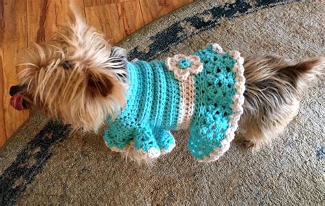 crochet dog clothes