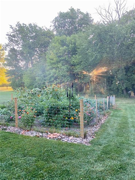 Vegetable garden fence ideas: How I built mine - Heirloom Grown in 2025 ...