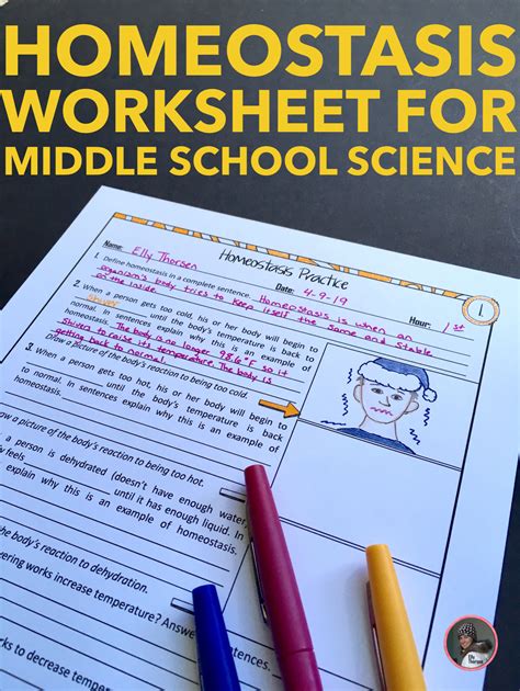 Homeostasis Worksheets Answers