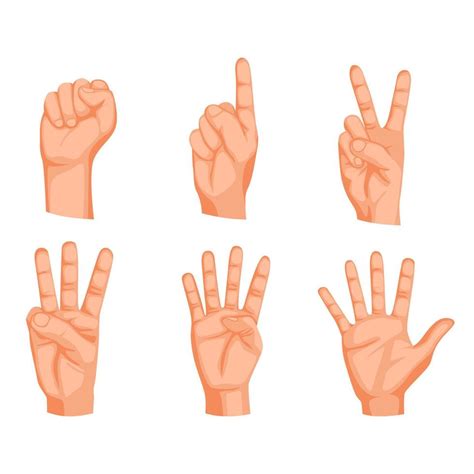 Count 的图像结果