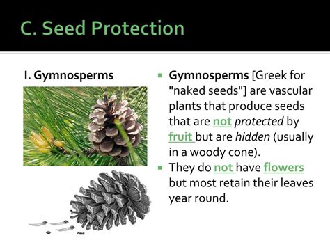 Image result for CLIL Lesson On Classifying Plants