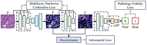 Automatic Annotation Diagnostic Framework for Nasopharyngeal Carcinoma ...