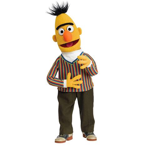 Bert Costume - Sesame Street Fancy Dress