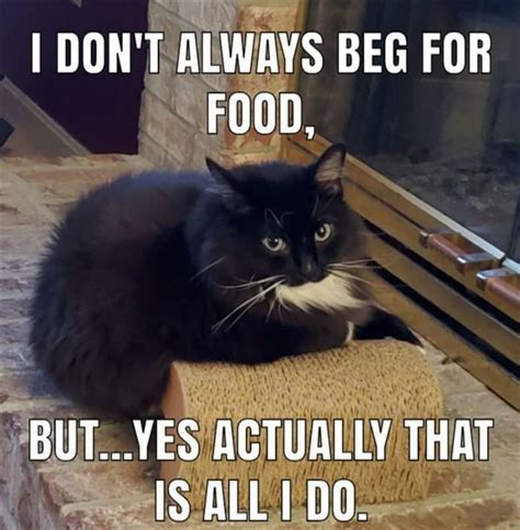 Image result for JavaScript From Begging