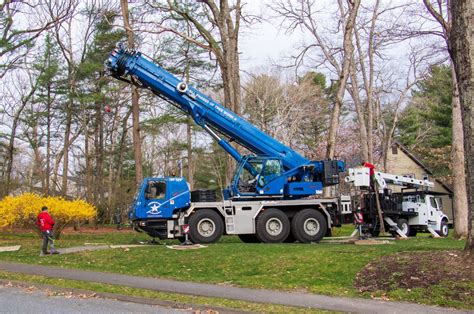 Image result for Remote Control Tree Removal