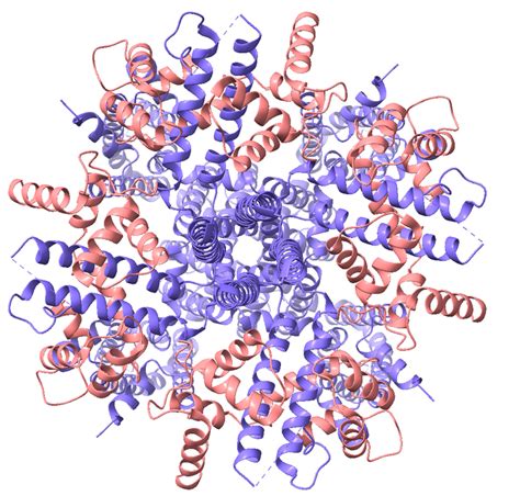 Chimerax SYM Function 的图像结果