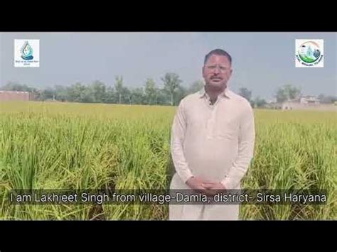 Broadcasting Planting 的图像结果