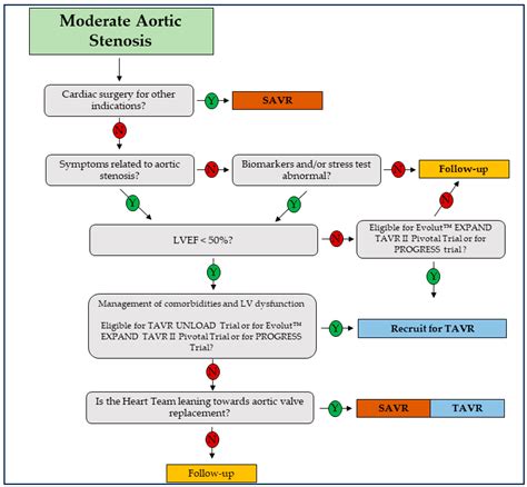 Unraveling the Enigma of Moderate Aortic Stenosis: Challenges and Future Prospects