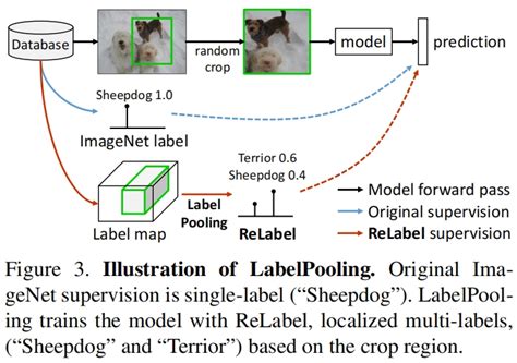 Label the Image Image Net 的图像结果
