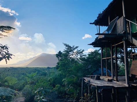 VOLCANO ROARING FRONT (Lenakel) - Guesthouse Reviews & Photos - Tripadvisor