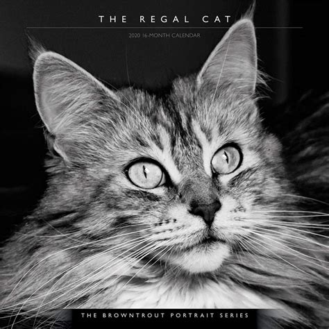 Buy Regal Cat, the 2020 Square Wall Calendar (Browntrout Portrait) Book ...