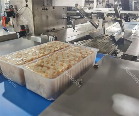 Down Paper Flow Pack Machine 的图像结果