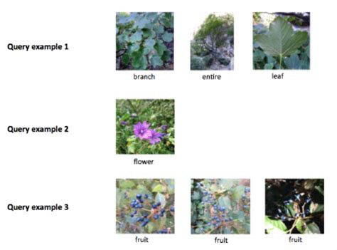 Image result for Query System Examples