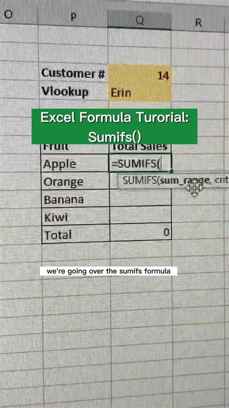 Image result for Excel Super Star Tutorial SUMIFS