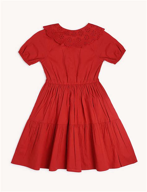 Buy Pure Cotton Schiffli Peter Pan Collar Dress at Marks & Spencer